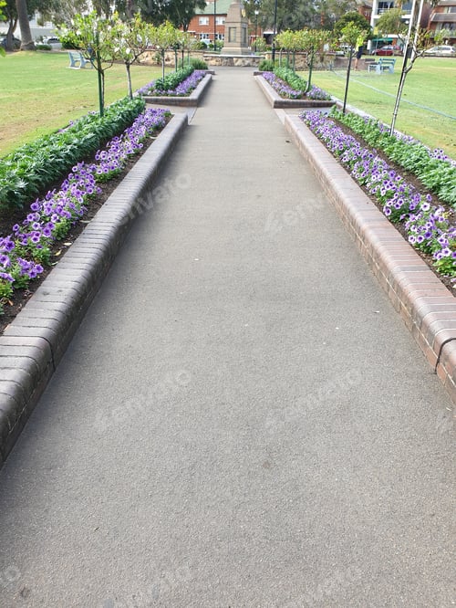 Preview: Footpath lined with purple petunia flowers in garden