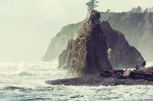 Preview: Olympic coast