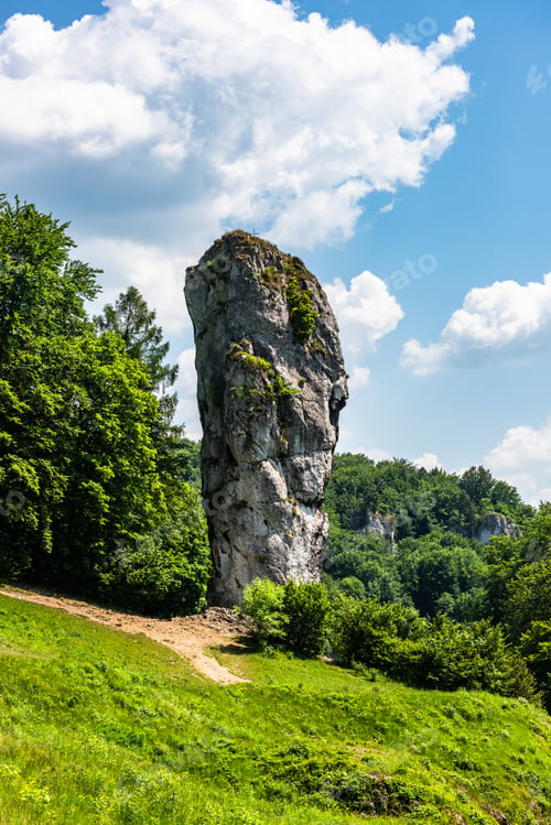 Preview: Hercules Mace, nature rock formation in Ojcowski National Park near Cracow, Poland