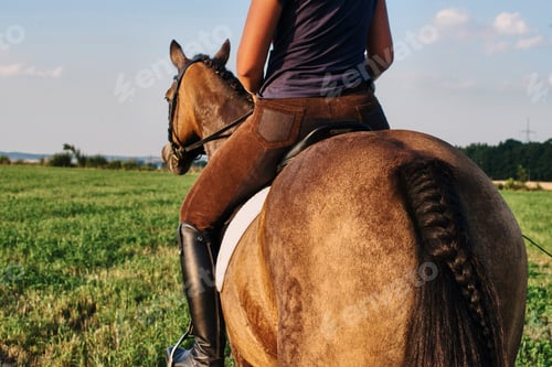 Preview: Rear view of woman riding bay horse in field