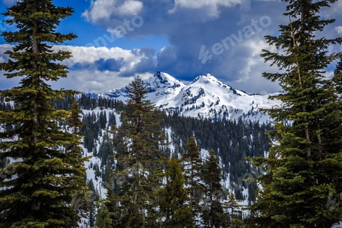 Preview: Mt. Rainier Winter Mountain View, Mt. Rainier National Park Washington