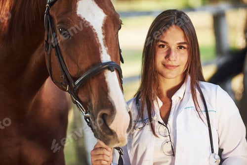 Preview: Pretty girl. Female vet examining horse outdoors at the farm at daytime