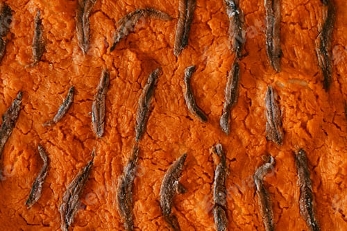 Preview: Orange freshly baked pumpkin pie with anchovies. Top view