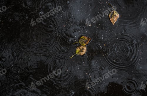 Preview: Raindrops on a puddle