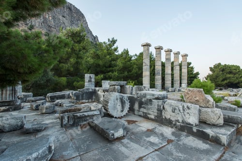 Preview: Columns of Priene