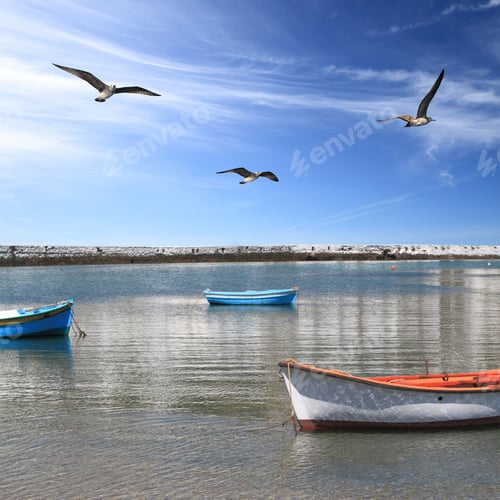 Preview: Fishing boats in the harbor of Mykonos island surrounded by seagulls