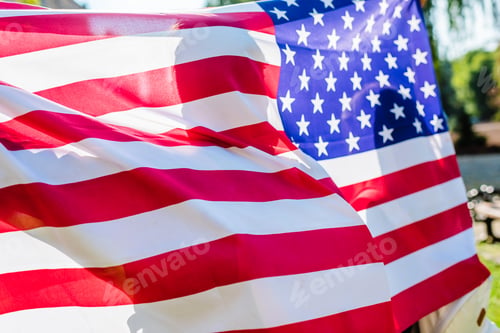 Preview: partial view of man holding american flag in hands in park