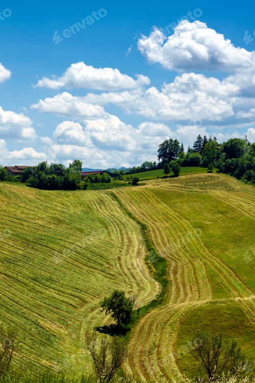 Preview: Rural landscape near Sala Baganza and Fornovo, Parma, at springtime