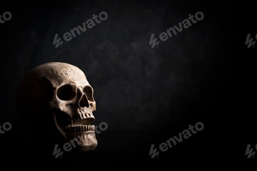 Preview: Closeup shot of a skull on a black background