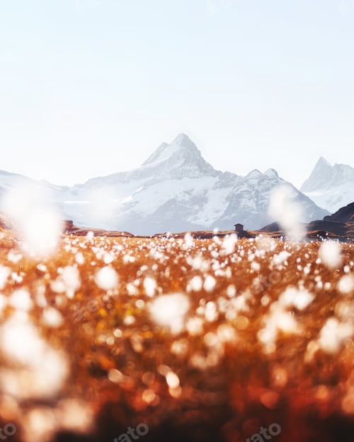 Preview: Picturesque view on Bachalpsee lake in Swiss Alps mountains