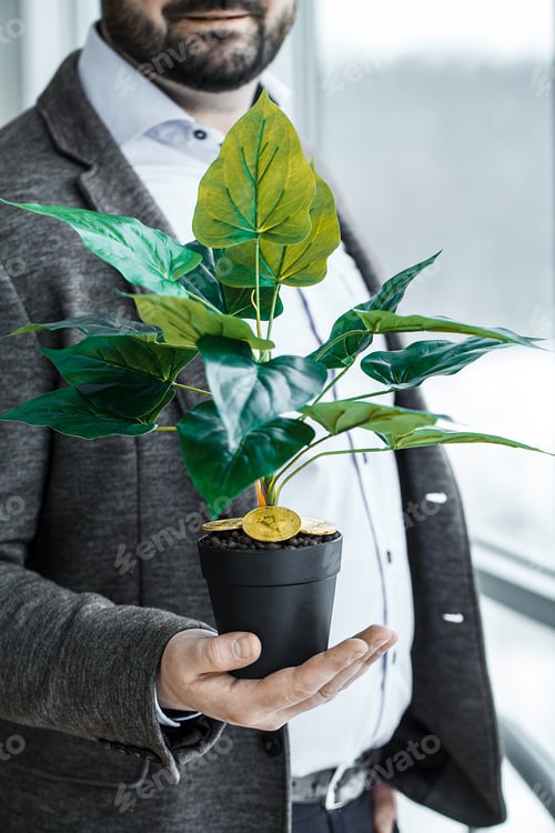 Preview: Man holding, house plant with coins of bitcoin on the ground