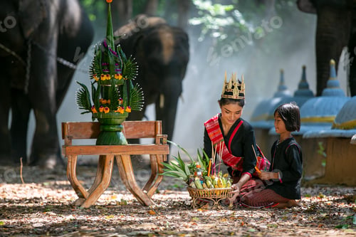 Preview: Farmer and Elephant at rice field against sunrise in Thailand.