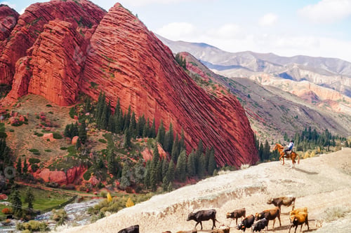 Preview: Shepherd driving herds of horses running