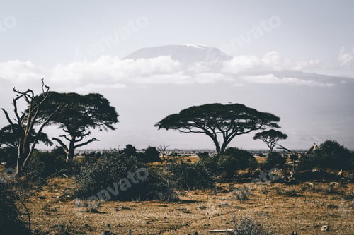 Kenia (2016)