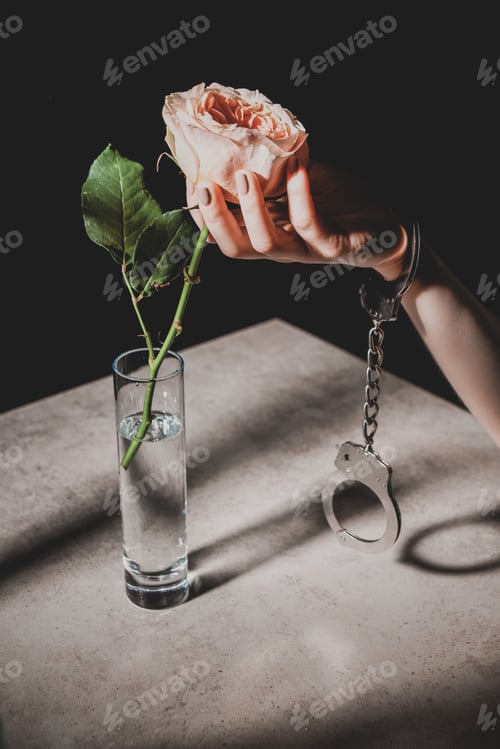 Preview: partial view of woman in metal handcuffs holding pink rose flower isolated on black