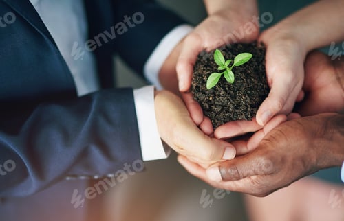 Preview: Business people, hands and plant growth for startup company for eco friendly, earth day or investme