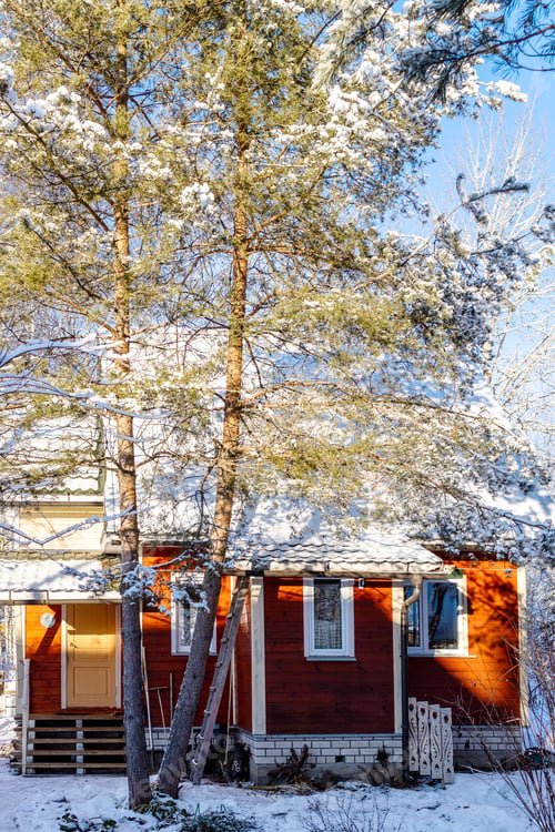 Vista previa: pine tree and small wooden cottage in snowy yard