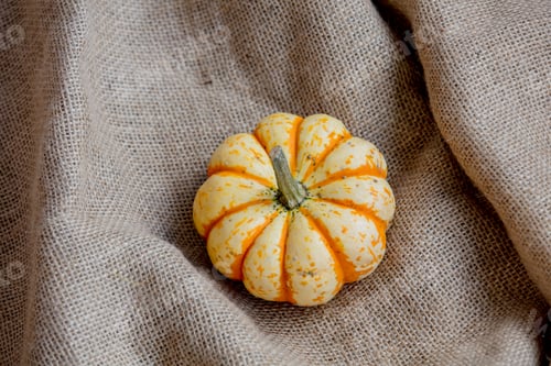 Preview: Orange pumpkin on rumpled sackcloth.