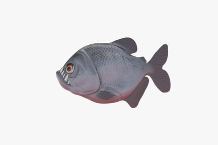 Visualização: Piranha estilizada