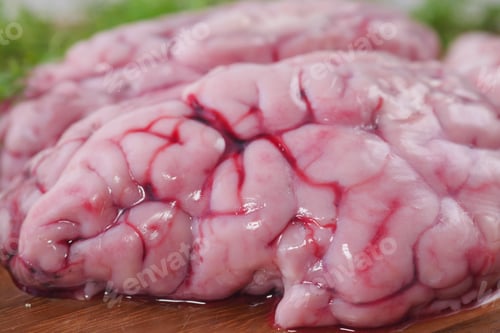 Preview: close up of mutton brain on a chopping board