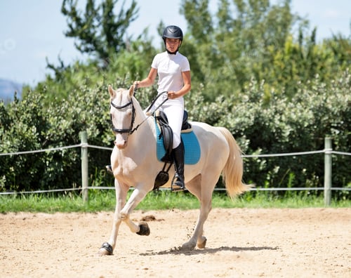 Preview: riding girl and horse