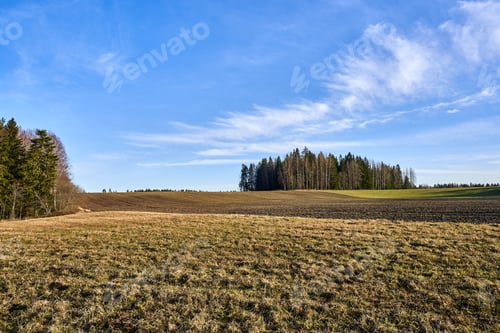 Preview: Grass field with trees under a clear blue sky