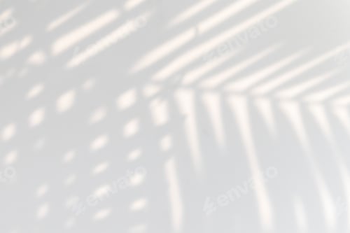 Preview: Tropical palm leaves shadow on a white wall