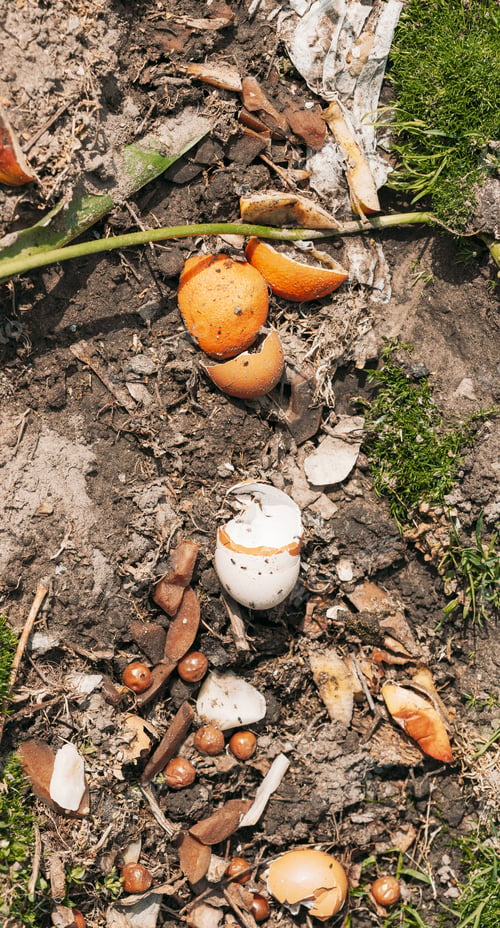 Preview: Compost From Spilled Food Waste On Ground, Humus, Manure. Rotting Kitchen Scraps With Fruits Garbage