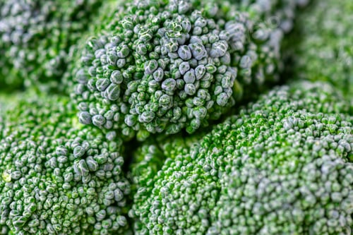 Preview: Pattern of broccoli. Macro photo green broccoli texture. Fresh green broccoli vegetable