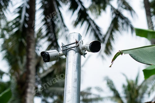 Preview: Security Cameras on Metal Pole in Tropical Setting