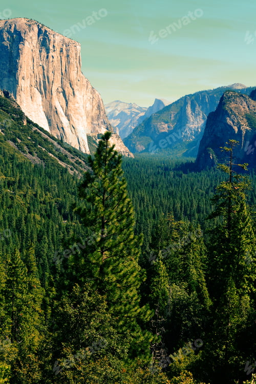 Preview: Yosemite