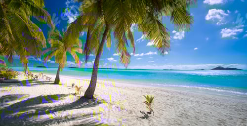 Preview: Tropical Beach - Cook Islands