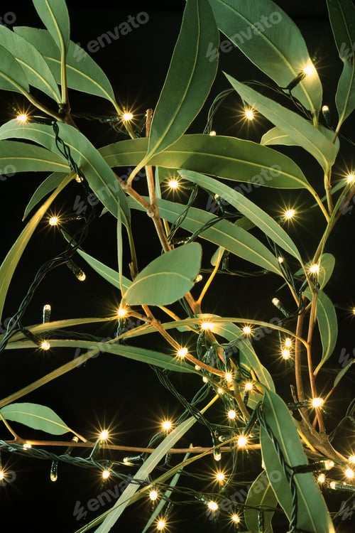 Preview: Fairy Lights and Gum Tree Leaves