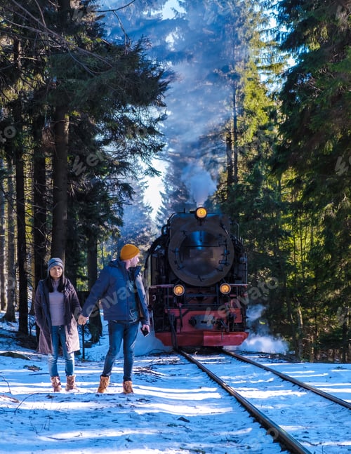 Preview: couple of men and women watching the steam train during winter in the snow in the Harz Germany