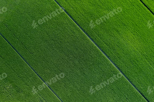 Preview: aerial photo shot of mixed cultivated and harvested rural plain land