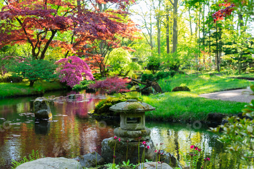 Preview: japanese garden in The Hague
