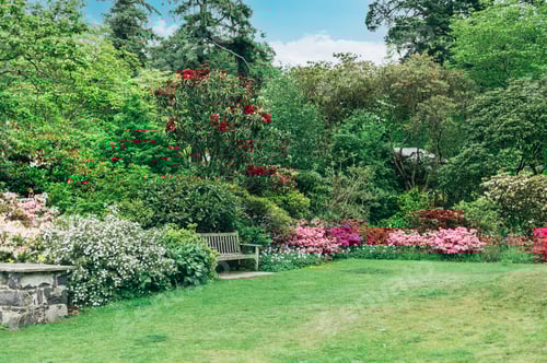 Preview: Beautiful Garden with blooming trees during spring time