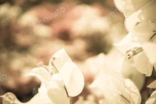 Preview: Sweet Blur Flower In Vintage Style On Mulberry Paper Texture