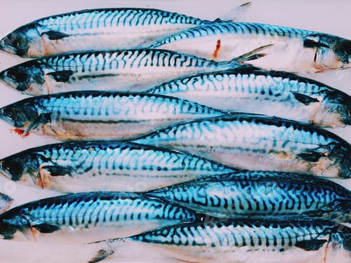 Preview: Fish