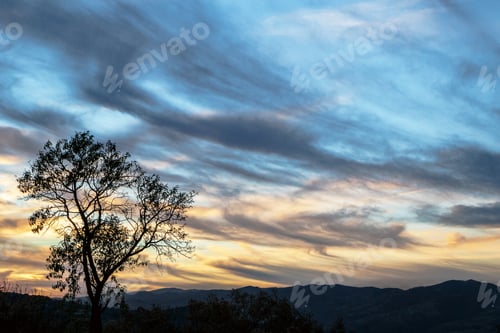 Preview: Tree at spectacular sunset in a mountains. Horizon panorama with a dramatic twilight cloudy sky.