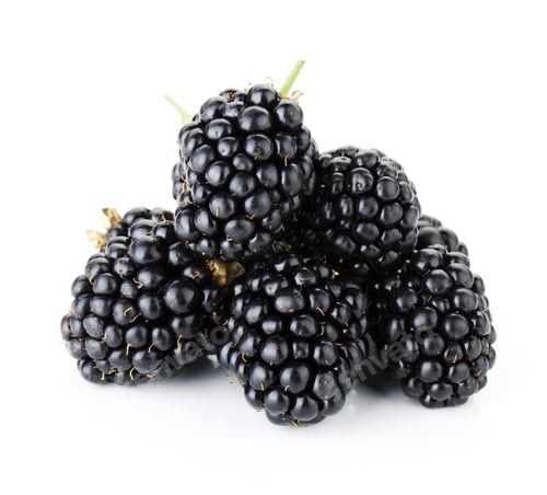 Preview: Ripe blackberry fruits