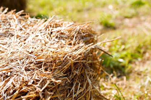 Preview: hay and straw. Hay texture. Hay bales are stacked in large stacks. Harvesting in agriculture. a pile