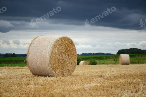 Preview: Round Haystack on golden field in countryside early in the morning