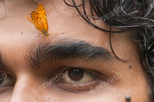 Preview: Butterfly sitting on a young man’s face, Symbiosis of man and nature.
