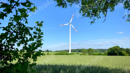 Preview: View through the leaves of one wind generator in the field