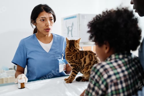 Preview: Explaining Something To Cats Owners