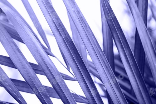 Preview: Color Of The Year 2022 - Very Peri.