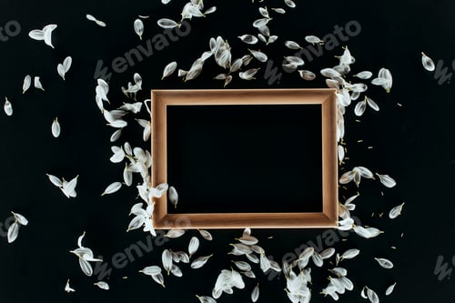 Preview: top view of wooden frame with petals isolated on black