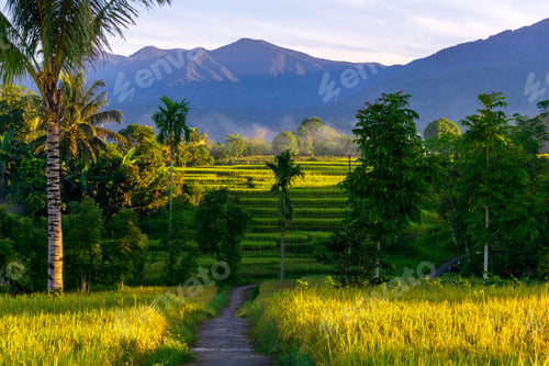 Preview: Beautiful morning view indonesia Panorama Landscape with beauty color