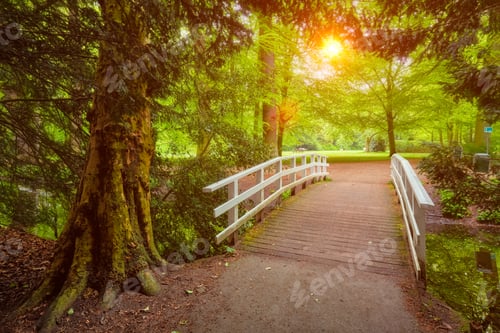 Preview: Bridge in a park on sunset